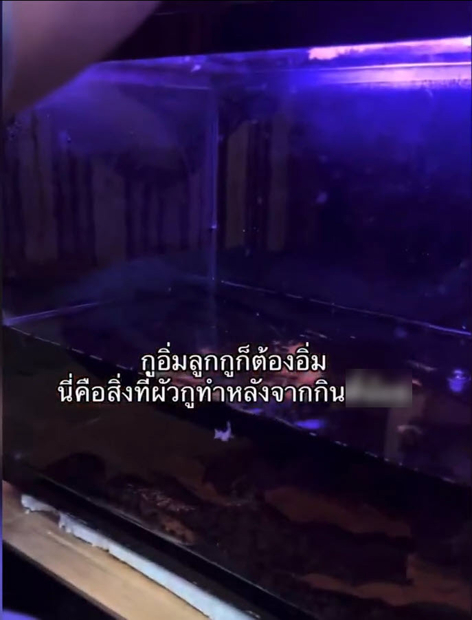 ขโมยกุ้ง สุกี้ตี๋น้อย