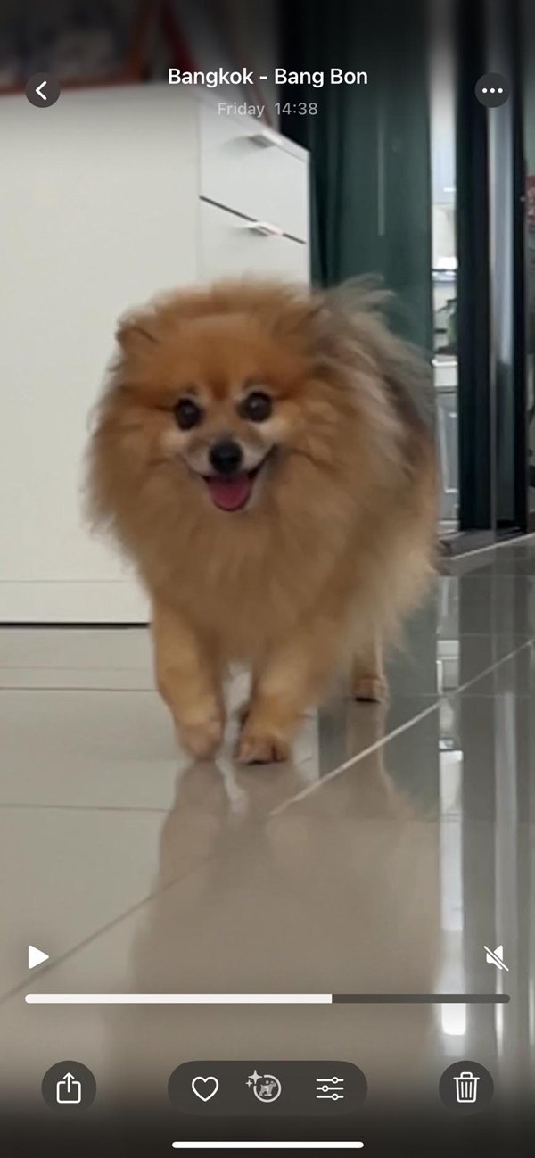 สรุปดราม่า บิว วราภรณ์ จากเรื่องหมาหลุด สู่แฮชแท็กร้อน