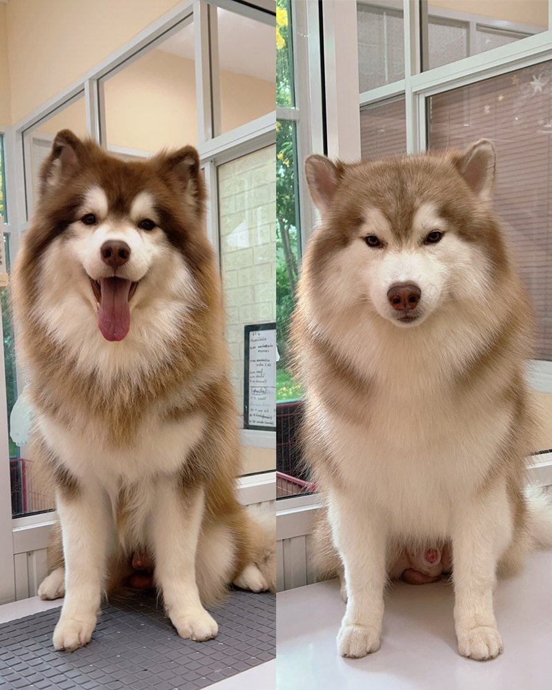 สรุปดราม่า บิว วราภรณ์ จากเรื่องหมาหลุด สู่แฮชแท็กร้อน