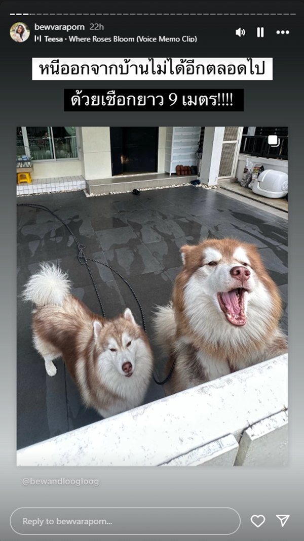 สรุปดราม่า บิว วราภรณ์ จากเรื่องหมาหลุด สู่แฮชแท็กร้อน