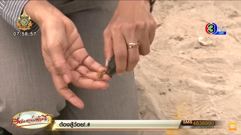 ปลาหมอสีคางดำ ปลาหมอสีคางดำ