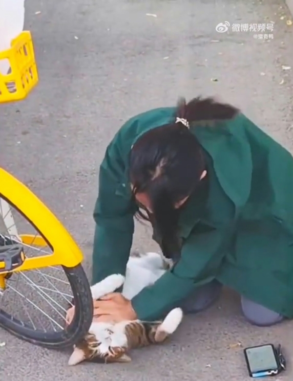 ทำ CPR ช่วยชีวิตแมว