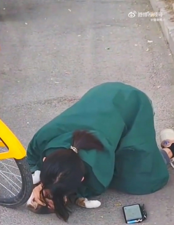 ทำ CPR ช่วยชีวิตแมว