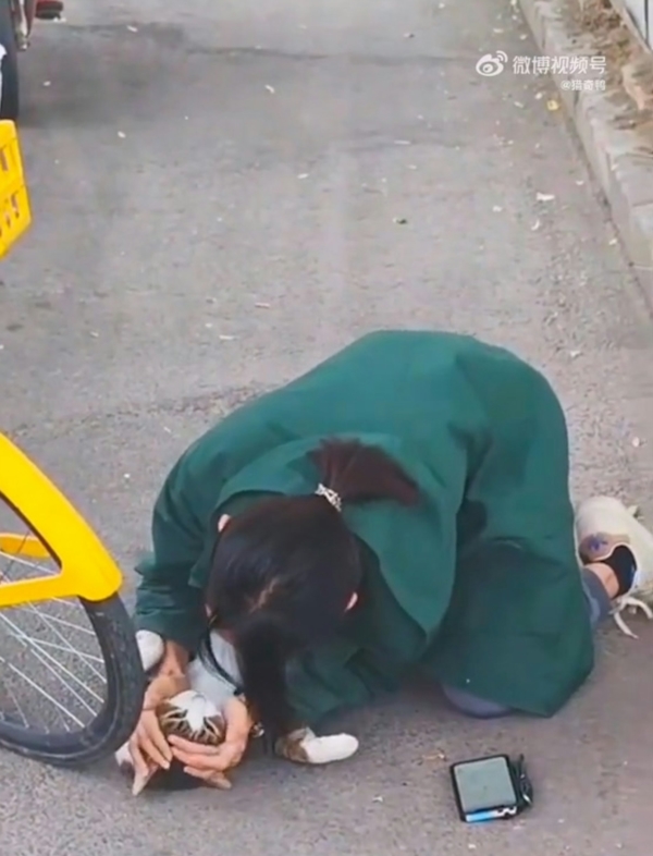 ทำ CPR ช่วยชีวิตแมว