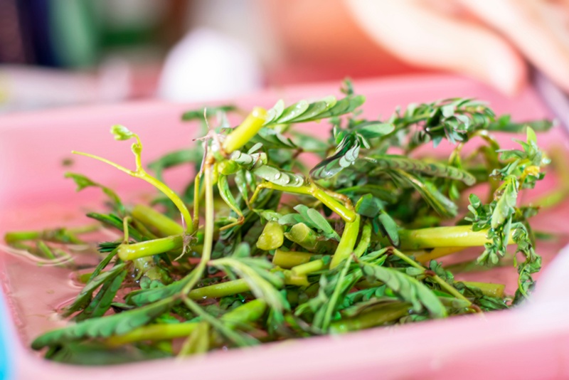 ผักกินเยอะระวังนิ่ว