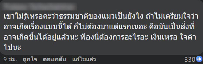 คอมเมนต์