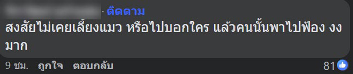 คอมเมนต์