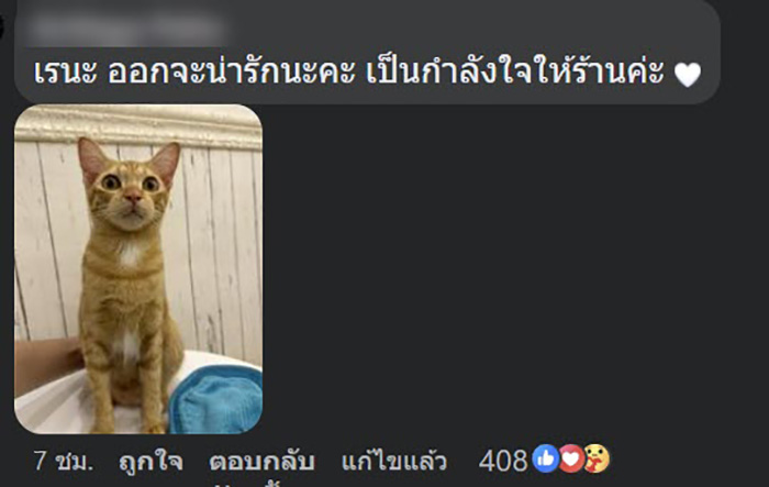 คอมเมนต์