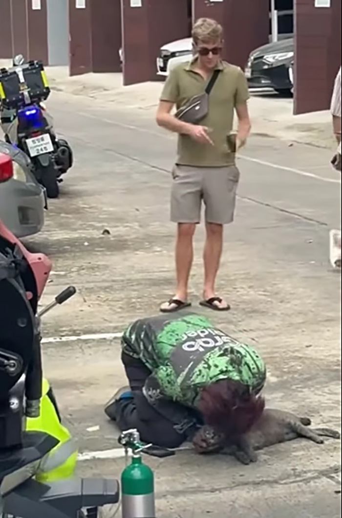 ไวรัลไรเดอร์หนุ่มฝ่าควันไฟปั๊มหัวใจแมว