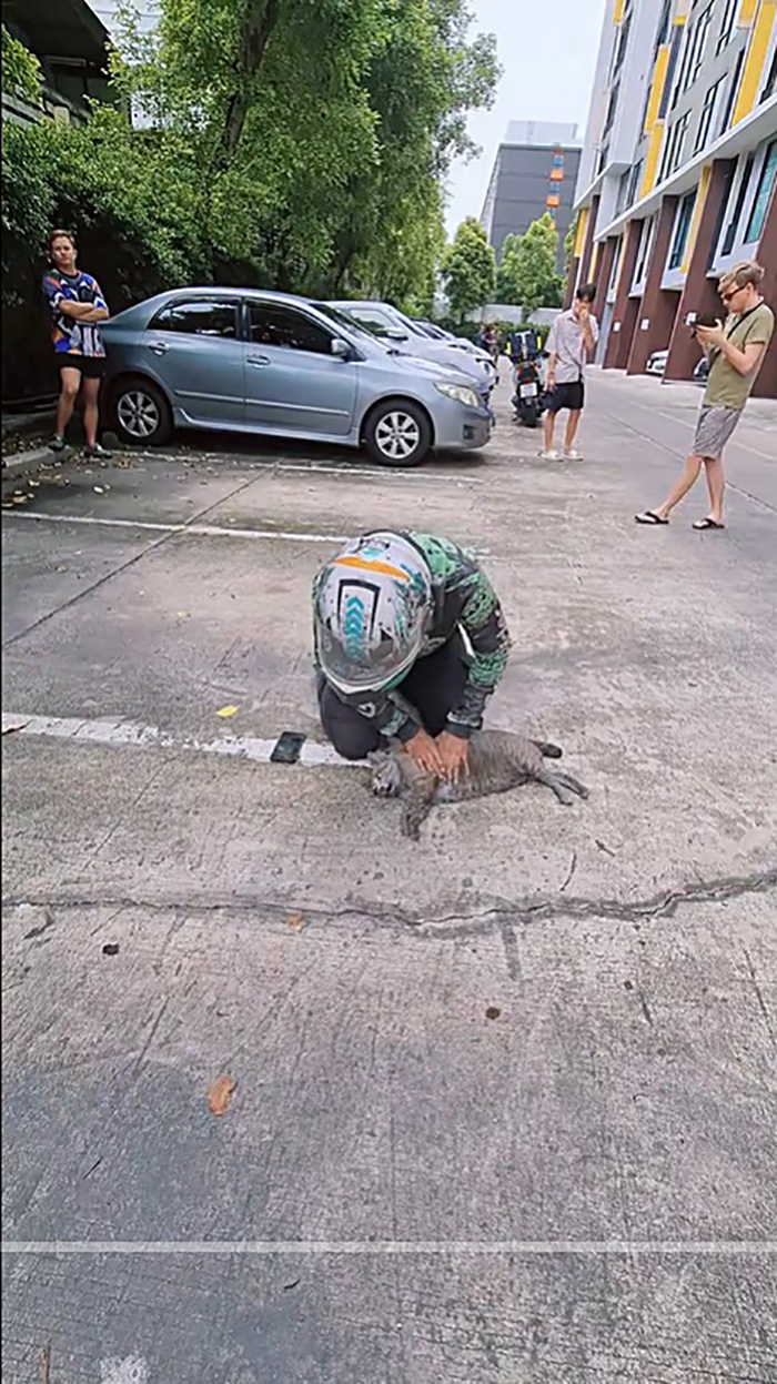 ไวรัลไรเดอร์หนุ่มฝ่าควันไฟปั๊มหัวใจแมว