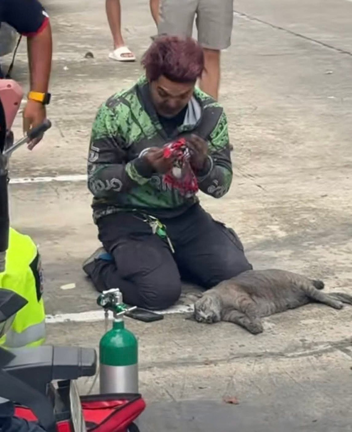 ไวรัลไรเดอร์หนุ่มฝ่าควันไฟปั๊มหัวใจแมว