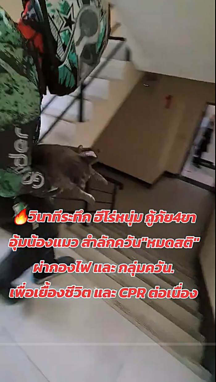 ไวรัลไรเดอร์หนุ่มฝ่าควันไฟปั๊มหัวใจแมว