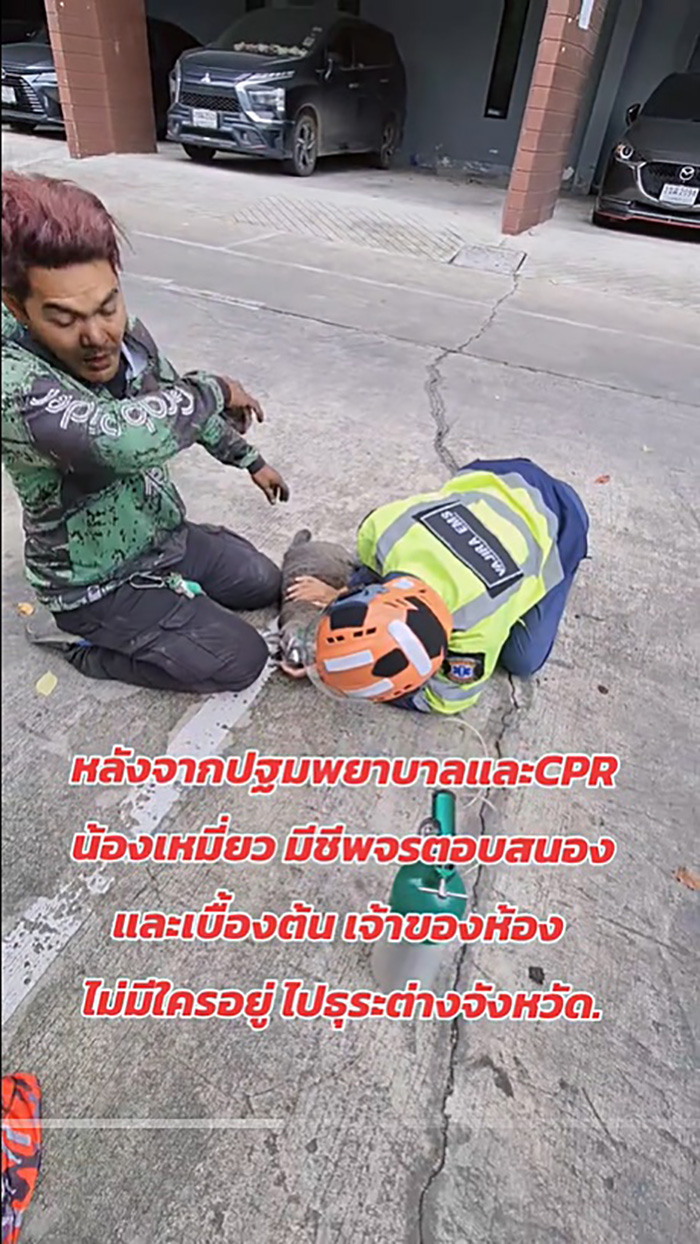 ไวรัลไรเดอร์หนุ่มฝ่าควันไฟปั๊มหัวใจแมว